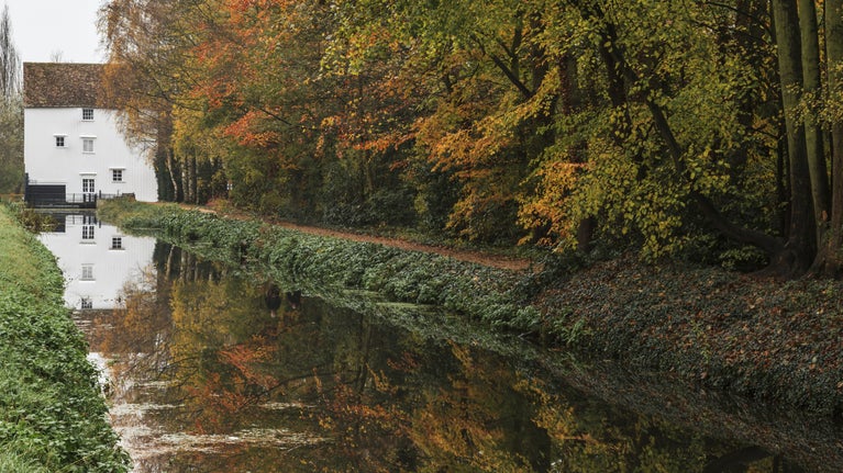 An autumn day view of Quy Water with Lode mill in the background at Anglesey Abbey, Cambridgeshire